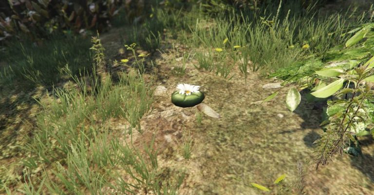 به‌روزرسان جدید GTA Online گیاهان Peyote را برمی‌گرداند